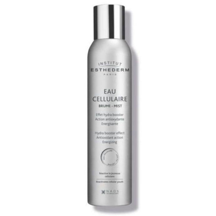 Fix Makeup Esthederm Paris